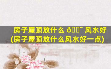 房子屋顶放什么 🐯 风水好(房子屋顶放什么风水好一点)